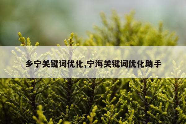 乡宁关键词优化,宁海关键词优化助手