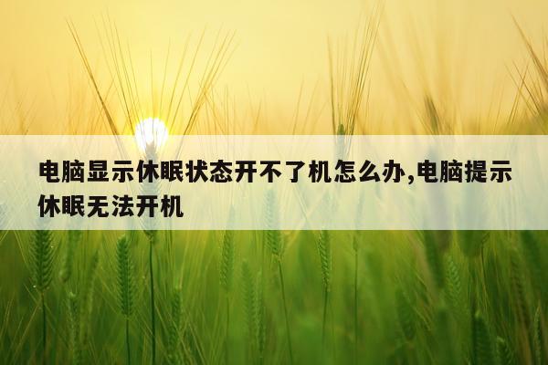 电脑显示休眠状态开不了机怎么办,电脑提示休眠无法开机