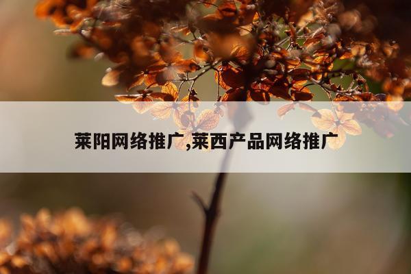 莱阳网络推广,莱西产品网络推广
