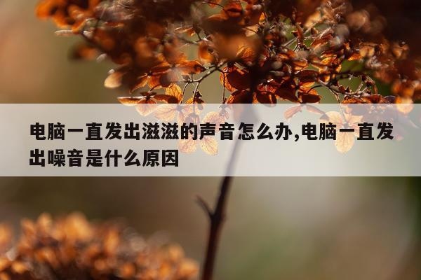 电脑一直发出滋滋的声音怎么办,电脑一直发出噪音是什么原因