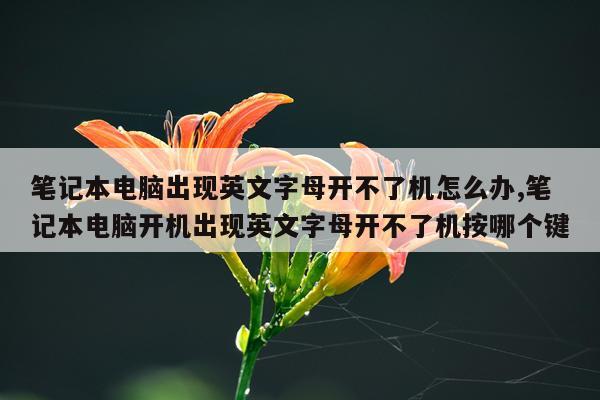 笔记本电脑出现英文字母开不了机怎么办,笔记本电脑开机出现英文字母开不了机按哪个键