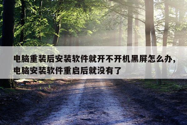 电脑重装后安装软件就开不开机黑屏怎么办,电脑安装软件重启后就没有了