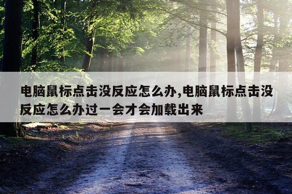 电脑鼠标点击没反应怎么办,电脑鼠标点击没反应怎么办过一会才会加载出来