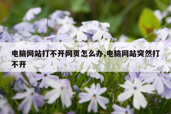 电脑网站打不开网页怎么办,电脑网站突然打不开