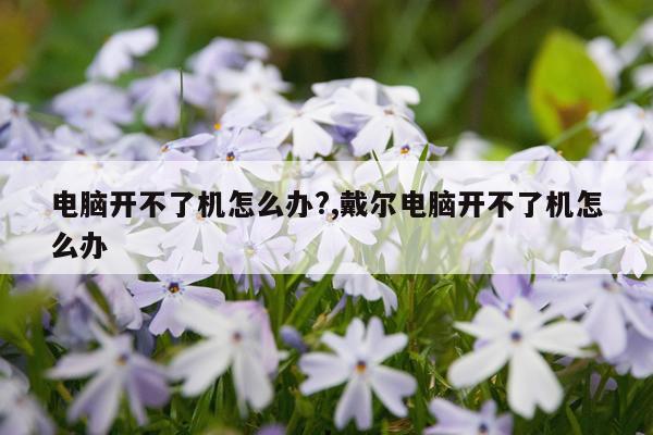电脑开不了机怎么办?,戴尔电脑开不了机怎么办
