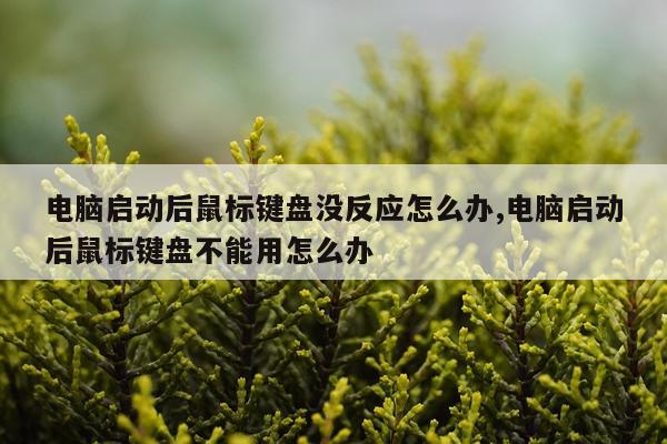 电脑启动后鼠标键盘没反应怎么办,电脑启动后鼠标键盘不能用怎么办