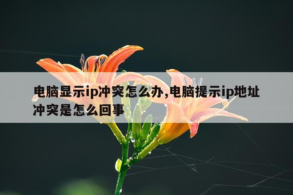 电脑显示ip冲突怎么办,电脑提示ip地址冲突是怎么回事