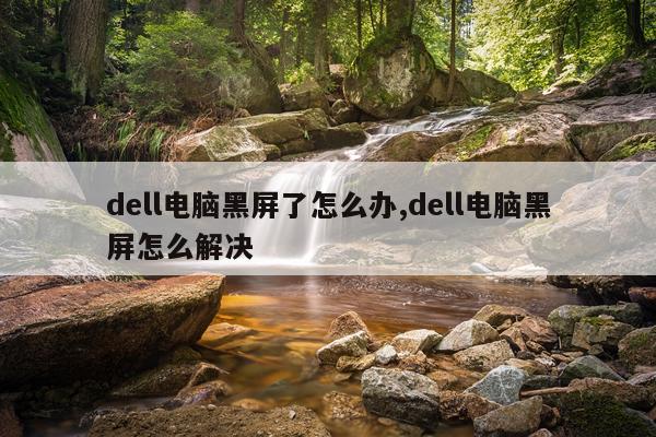 dell电脑黑屏了怎么办,dell电脑黑屏怎么解决
