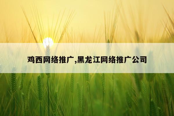 鸡西网络推广,黑龙江网络推广公司