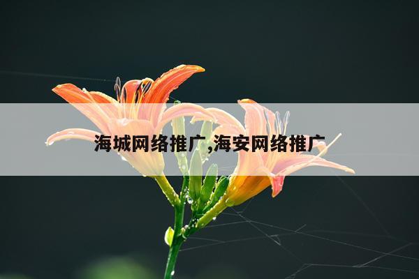 海城网络推广,海安网络推广