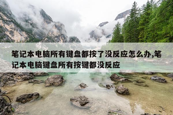 笔记本电脑所有键盘都按了没反应怎么办,笔记本电脑键盘所有按键都没反应