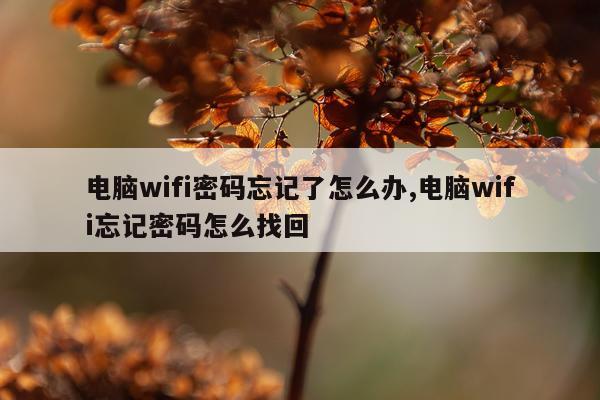电脑wifi密码忘记了怎么办,电脑wifi忘记密码怎么找回