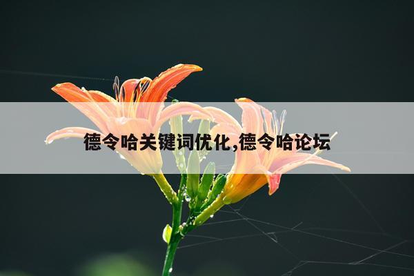 德令哈关键词优化,德令哈论坛