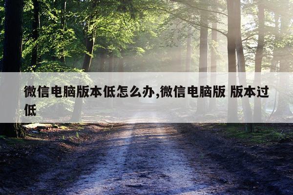 微信电脑版本低怎么办,微信电脑版 版本过低