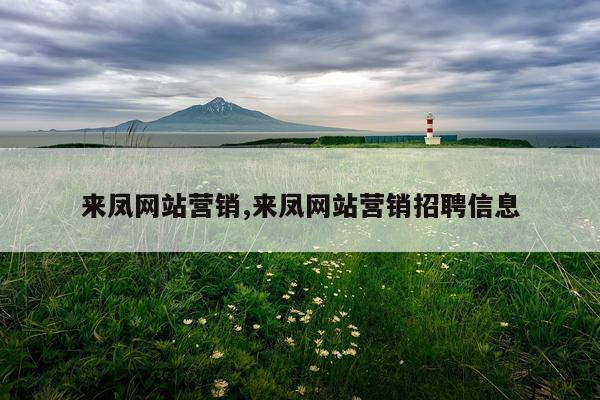 来凤网站营销,来凤网站营销招聘信息
