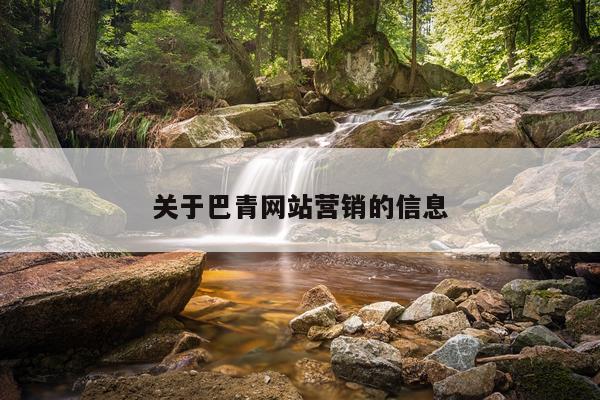 关于巴青网站营销的信息
