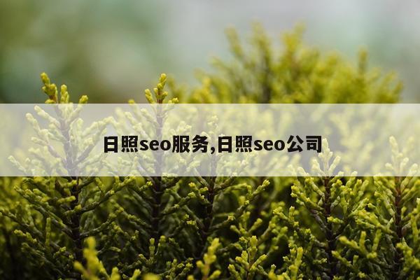 日照seo服务,日照seo公司