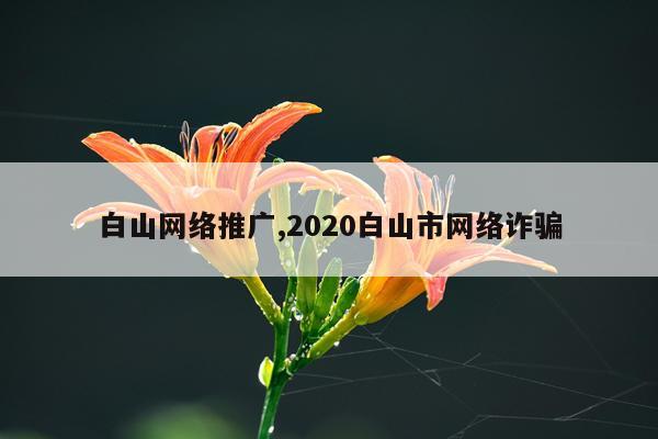 白山网络推广,2020白山市网络诈骗