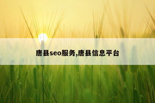 唐县seo服务,唐县信息平台