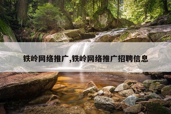 铁岭网络推广,铁岭网络推广招聘信息