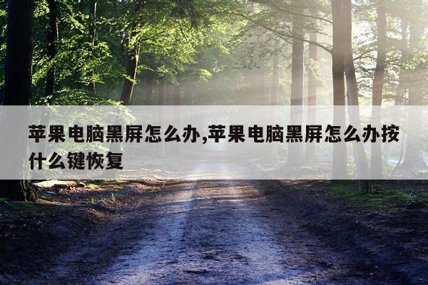 苹果电脑黑屏怎么办,苹果电脑黑屏怎么办按什么键恢复