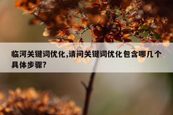临河关键词优化,请问关键词优化包含哪几个具体步骤?