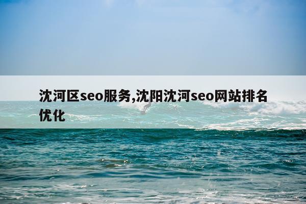 沈河区seo服务,沈阳沈河seo网站排名优化