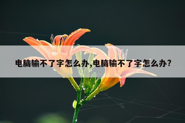 电脑输不了字怎么办,电脑输不了字怎么办?