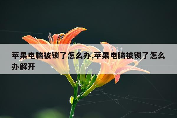 苹果电脑被锁了怎么办,苹果电脑被锁了怎么办解开