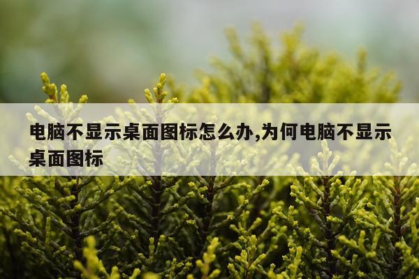 电脑不显示桌面图标怎么办,为何电脑不显示桌面图标
