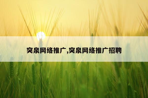 突泉网络推广,突泉网络推广招聘