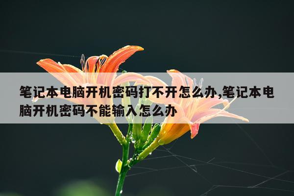 笔记本电脑开机密码打不开怎么办,笔记本电脑开机密码不能输入怎么办
