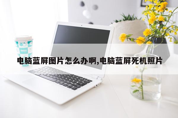 电脑蓝屏图片怎么办啊,电脑蓝屏死机照片