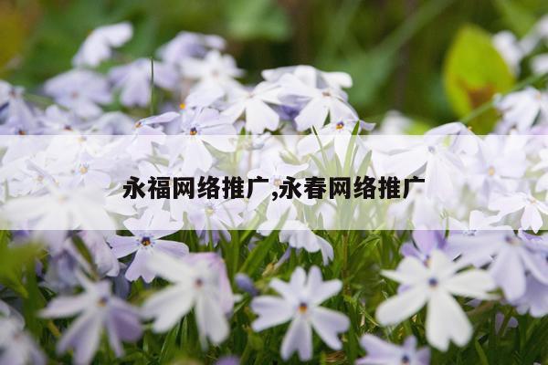 永福网络推广,永春网络推广