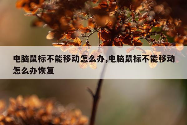 电脑鼠标不能移动怎么办,电脑鼠标不能移动怎么办恢复
