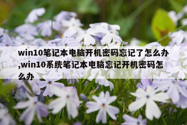 win10笔记本电脑开机密码忘记了怎么办,win10系统笔记本电脑忘记开机密码怎么办