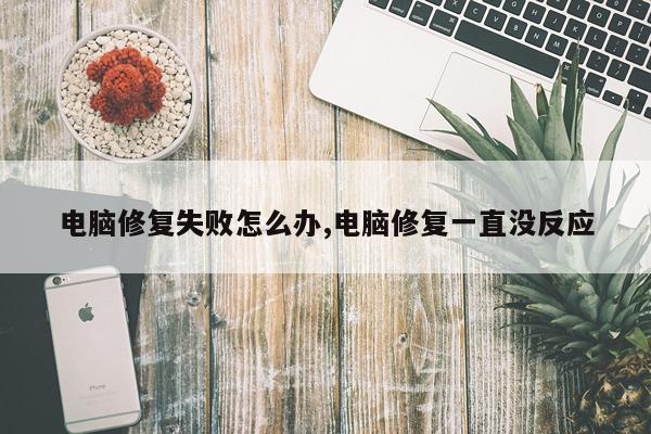 电脑修复失败怎么办,电脑修复一直没反应