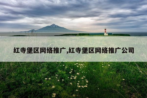 红寺堡区网络推广,红寺堡区网络推广公司