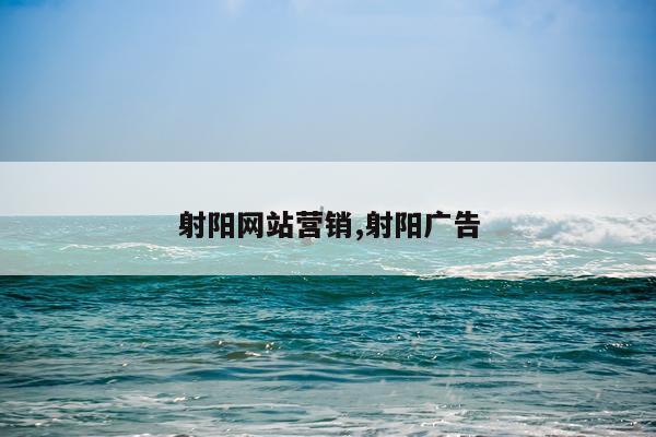 射阳网站营销,射阳广告