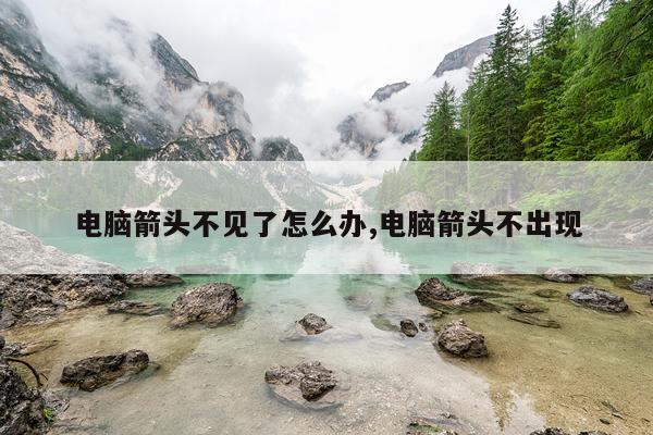 电脑箭头不见了怎么办,电脑箭头不出现