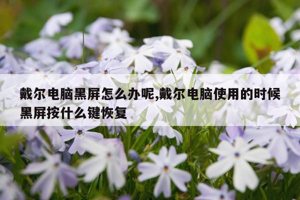 戴尔电脑黑屏怎么办呢,戴尔电脑使用的时候黑屏按什么键恢复