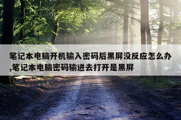 笔记本电脑开机输入密码后黑屏没反应怎么办,笔记本电脑密码输进去打开是黑屏