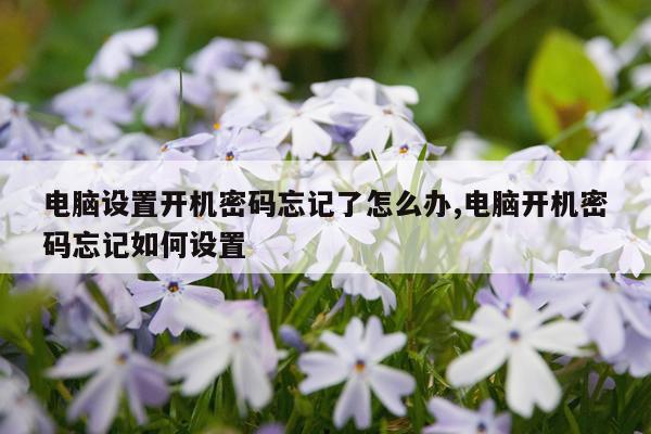 电脑设置开机密码忘记了怎么办,电脑开机密码忘记如何设置