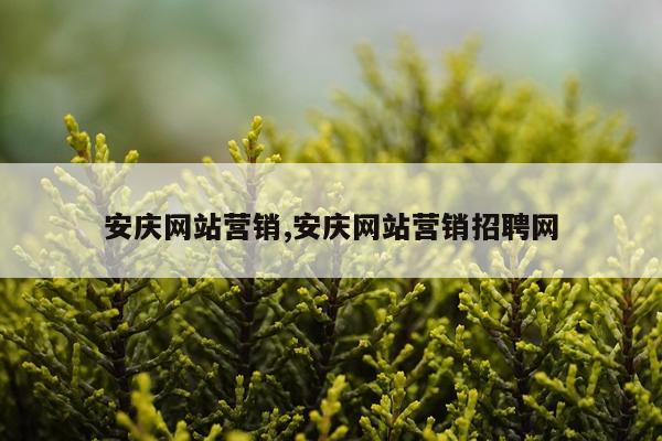 安庆网站营销,安庆网站营销招聘网
