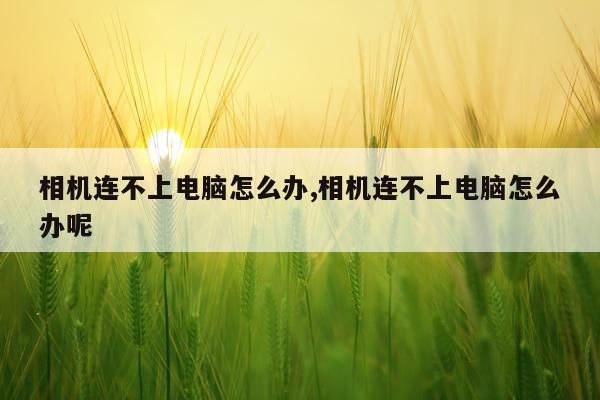 相机连不上电脑怎么办,相机连不上电脑怎么办呢