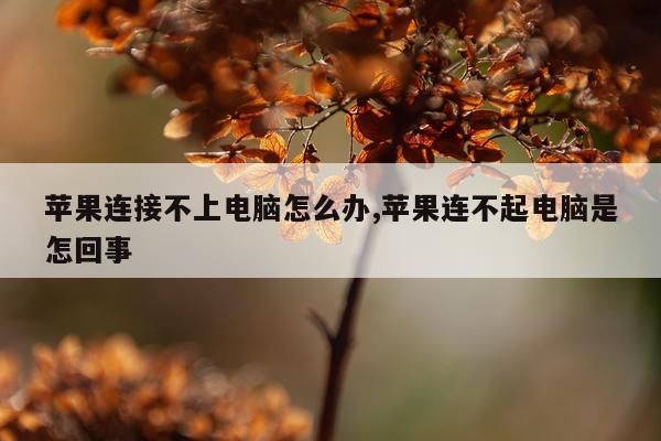 苹果连接不上电脑怎么办,苹果连不起电脑是怎回事
