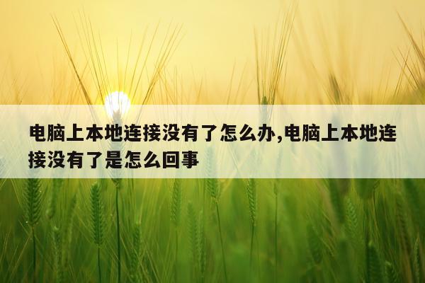 电脑上本地连接没有了怎么办,电脑上本地连接没有了是怎么回事