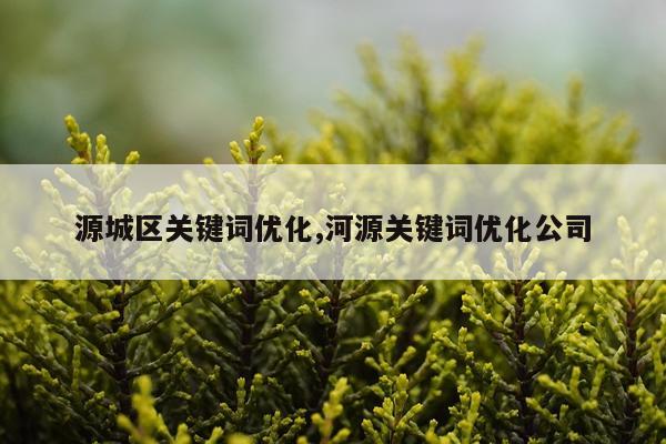 源城区关键词优化,河源关键词优化公司