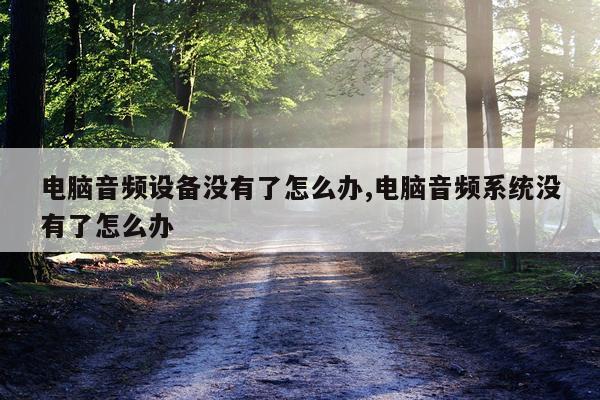 电脑音频设备没有了怎么办,电脑音频系统没有了怎么办