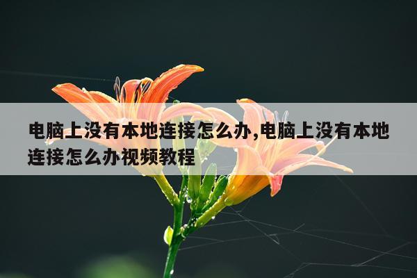 电脑上没有本地连接怎么办,电脑上没有本地连接怎么办视频教程